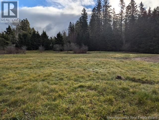 Lot 1 Gray Road, Penobsquis, New Brunswick  E4Z 3C2 - Photo 6 - NB134485