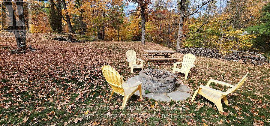 1492 County Rd 620 Road, North Kawartha, Ontario  K0L 1A0 - Photo 44 - X12941978