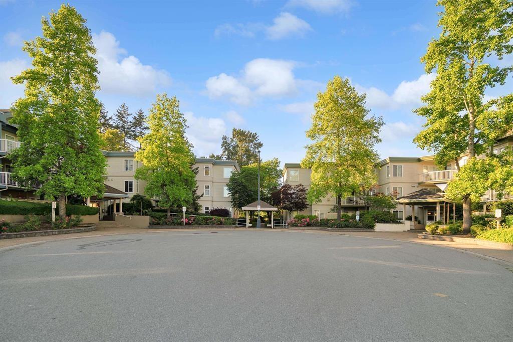 106 10675 138a Street, Surrey, British Columbia  V3T 4L2 - Photo 23 - R3103851