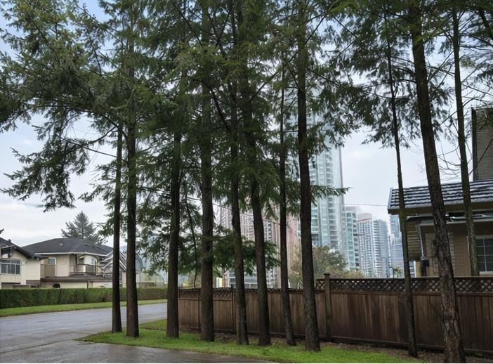 13464 98a Avenue, Surrey, British Columbia  V3T 1C8 - Photo 27 - R3105723