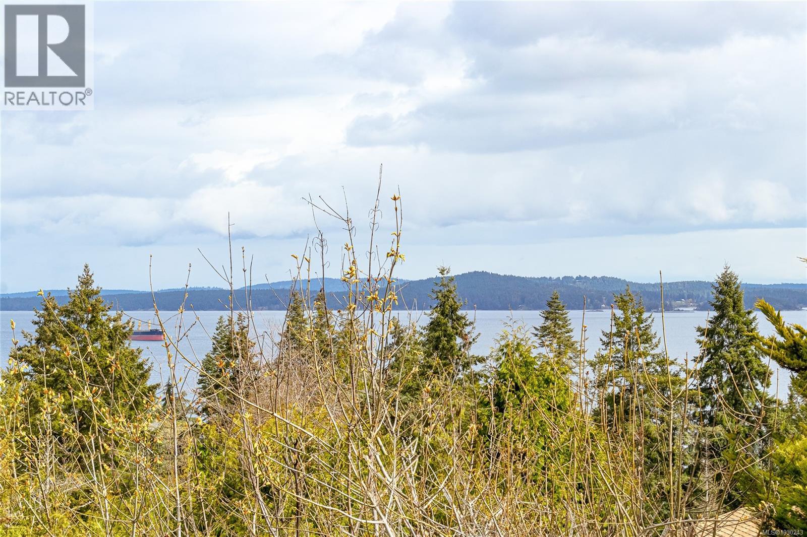 10190 View St, Chemainus, British Columbia  V0R 2K0 - Photo 19 - 1030243