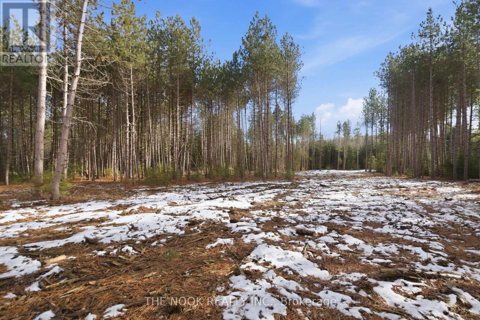 1055 Irondale Road, Minden Hills, Ontario  K0M 2A1 - Photo 31 - X12869794