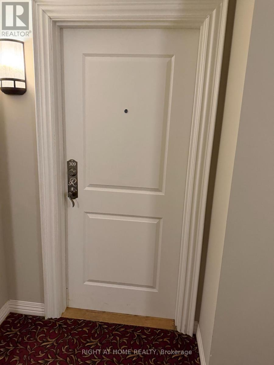 309 - 60 Ann Street, Caledon, Ontario  L7E 4G5 - Photo 7 - W12942124