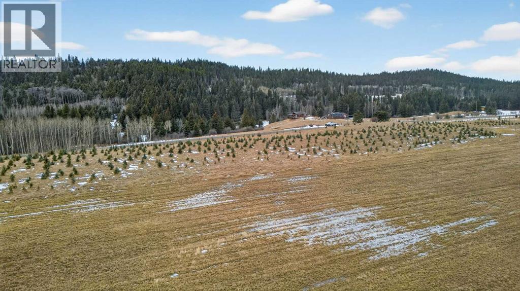 Parkins Road, Rural Foothills County, Alberta  T0L 1K0 - Photo 17 - A2284859