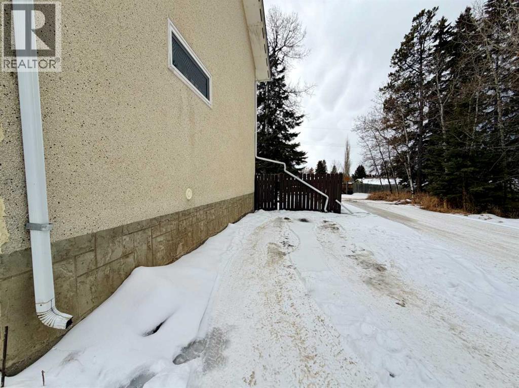 5126 56 Street, Rocky Mountain House, Alberta  T4T 1L5 - Photo 21 - A2289982