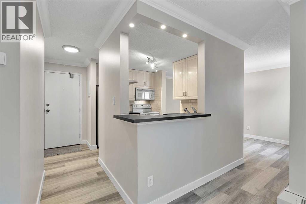 302, 727 56 Avenue Sw, Calgary, Alberta  T2V 4Z8 - Photo 7 - A2286394