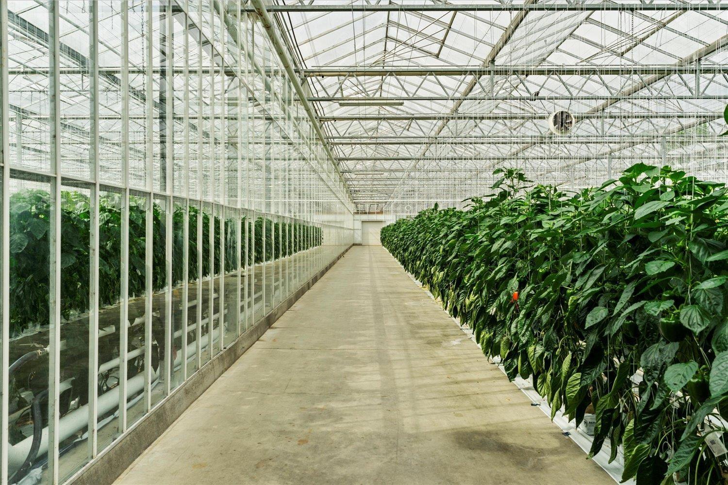 1501 Johnson Road, Agassiz, Agassiz, British Columbia V0M 1A2 - Photo 17 - C8077466