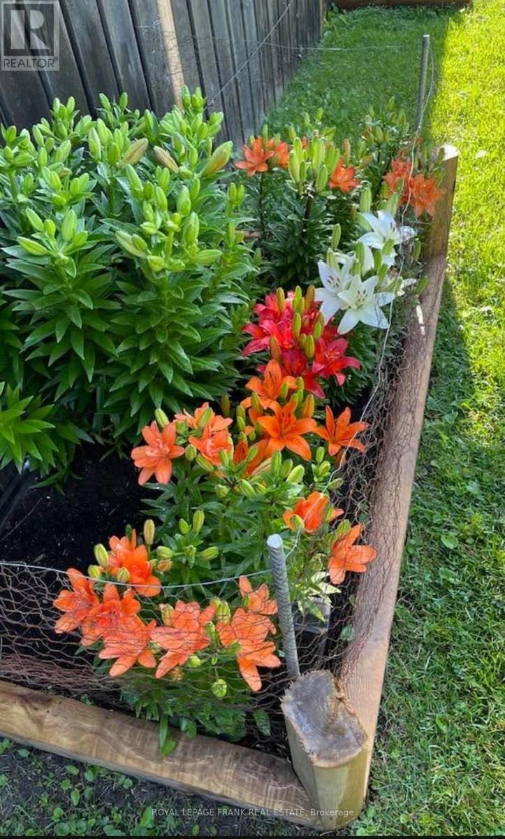 590 Talbot Court, Oshawa, Ontario L1J 2E8 - Photo 36 - E12942456