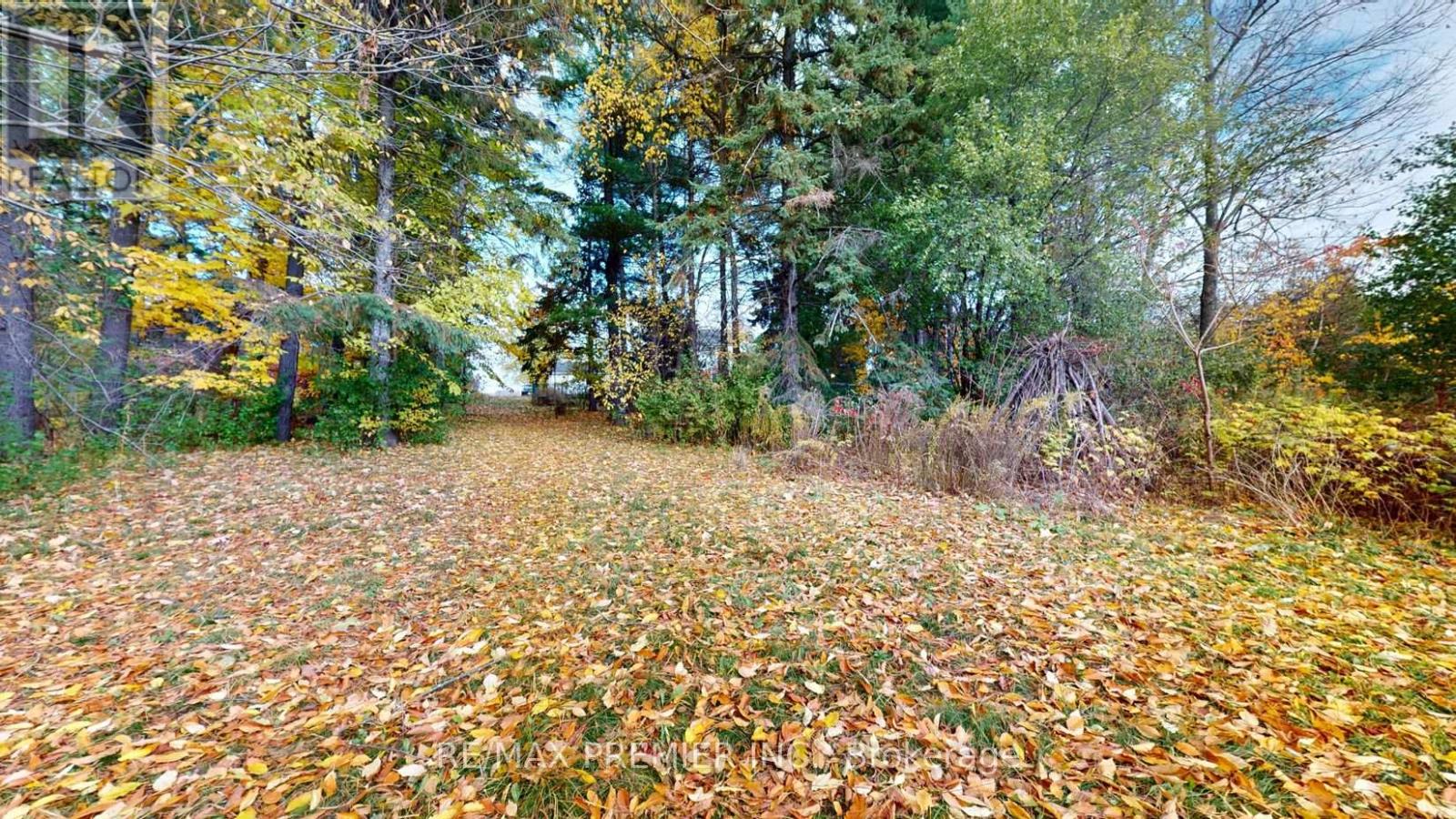 9190 Trafalgar Road, Halton Hills, Ontario  L7G 4S5 - Photo 22 - W12942514