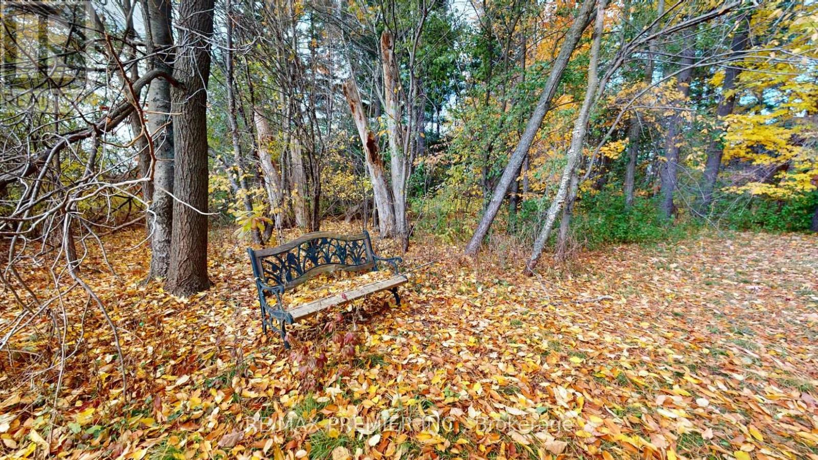 9190 Trafalgar Road, Halton Hills, Ontario  L7G 4S5 - Photo 24 - W12942514