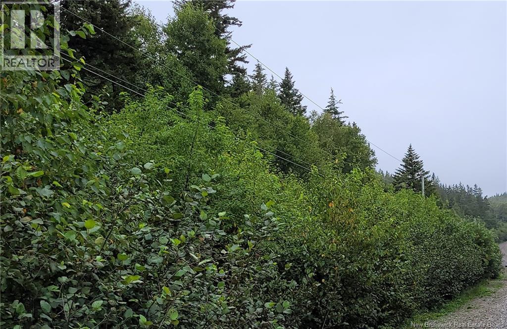 341 Fundy Drive, Wilsons Beach, New Brunswick  E5E 1K7 - Photo 3 - NB136181