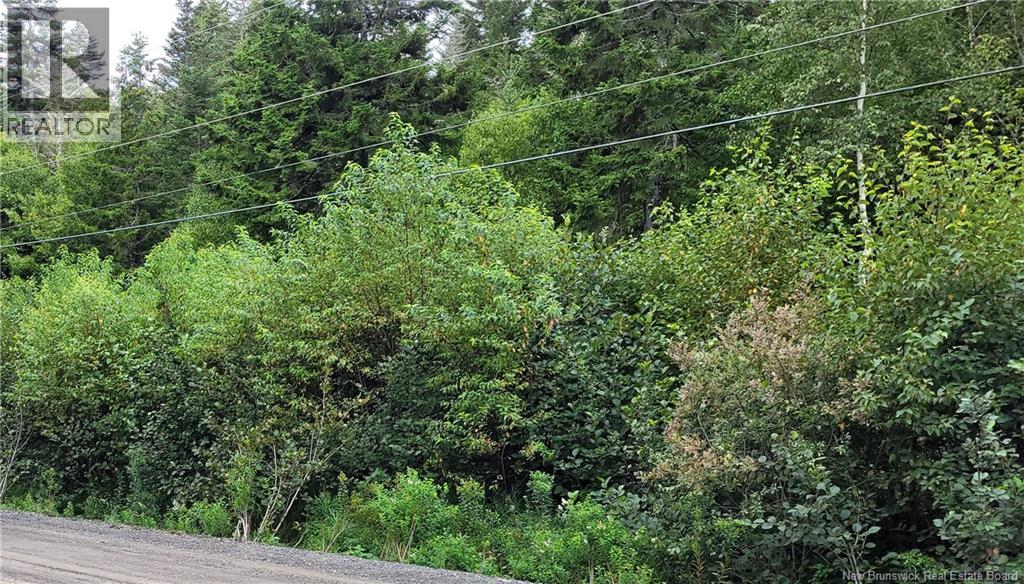 341 Fundy Drive, Wilsons Beach, New Brunswick  E5E 1K7 - Photo 4 - NB136181