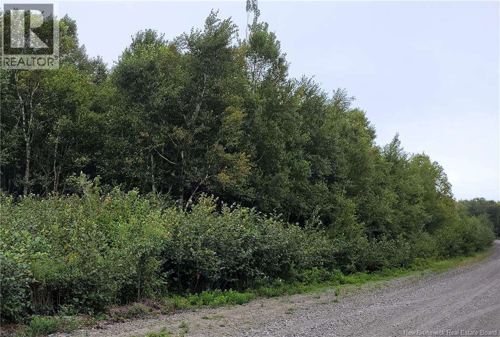 501 Fundy Drive, Wilsons Beach, New Brunswick  E5E 1Y8 - Photo 2 - NB136179