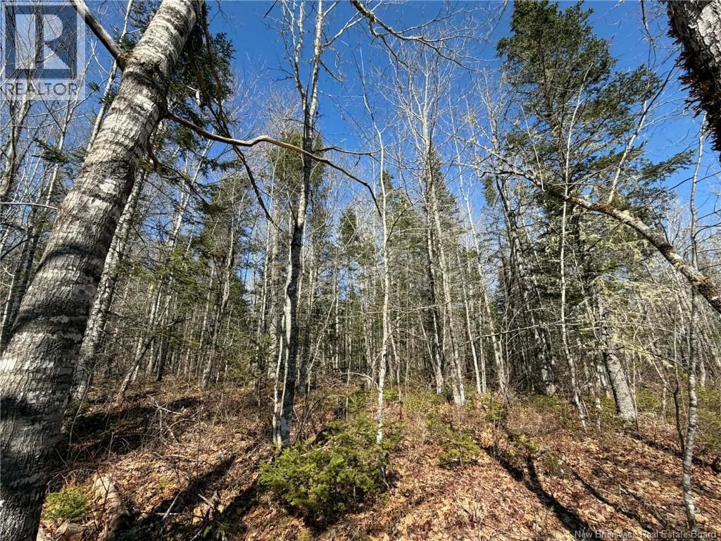 140 Pine Tree Lane, Hunters Home, New Brunswick  E4C 3J6 - Photo 23 - NB133860