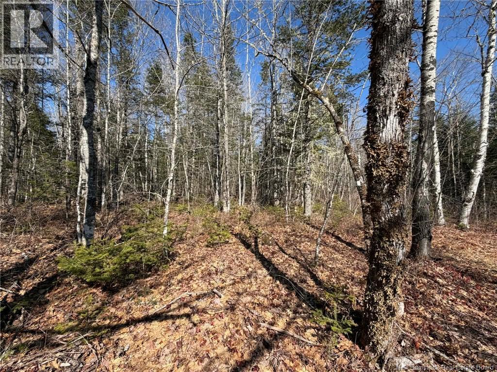 140 Pine Tree Lane, Hunters Home, New Brunswick  E4C 3J6 - Photo 24 - NB133860