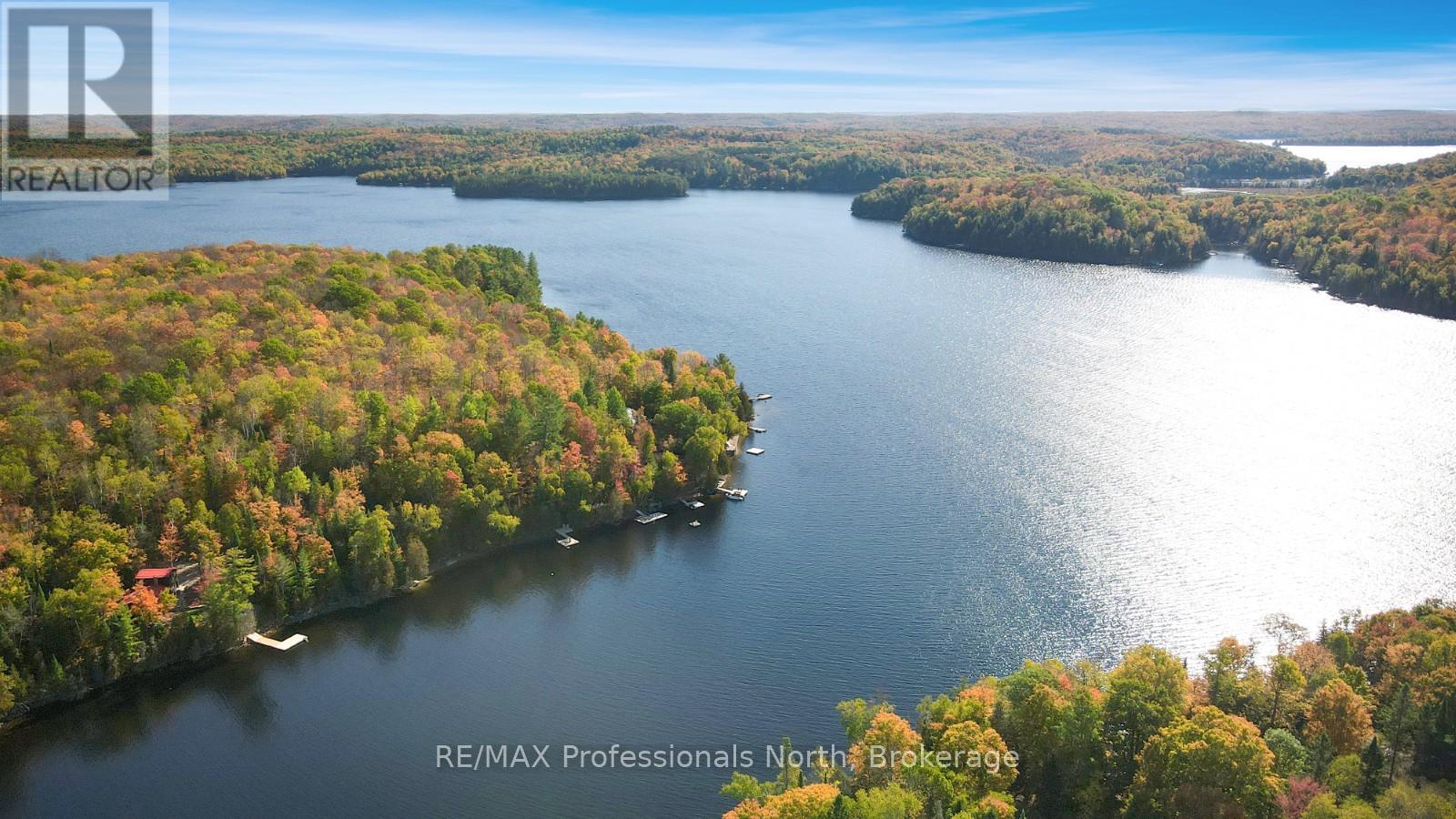 1005 Osgoode Road, Minden Hills, Ontario  K0M 2K0 - Photo 43 - X12942648