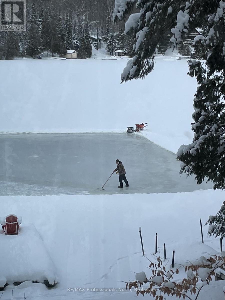 1005 Osgoode Road, Minden Hills, Ontario  K0M 2K0 - Photo 48 - X12942648