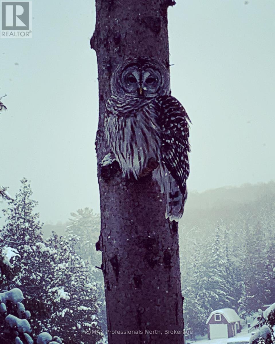 1005 Osgoode Road, Minden Hills, Ontario  K0M 2K0 - Photo 49 - X12942648