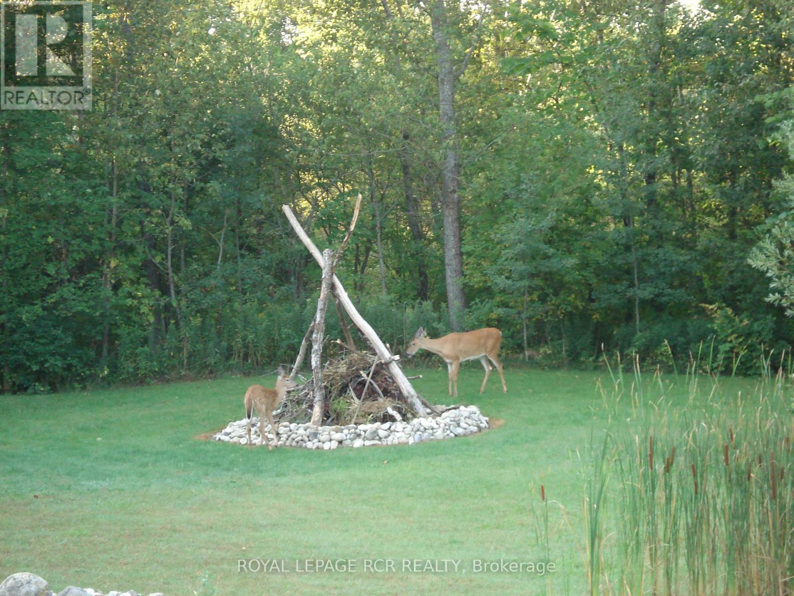 5823 Eighth Line, Erin, Ontario  N0B 1Z0 - Photo 48 - X12942688