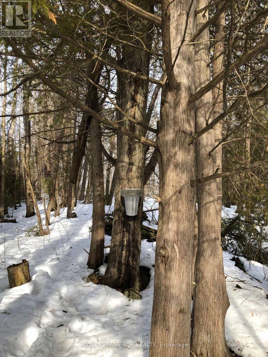 5823 Eighth Line, Erin, Ontario  N0B 1Z0 - Photo 49 - X12942688