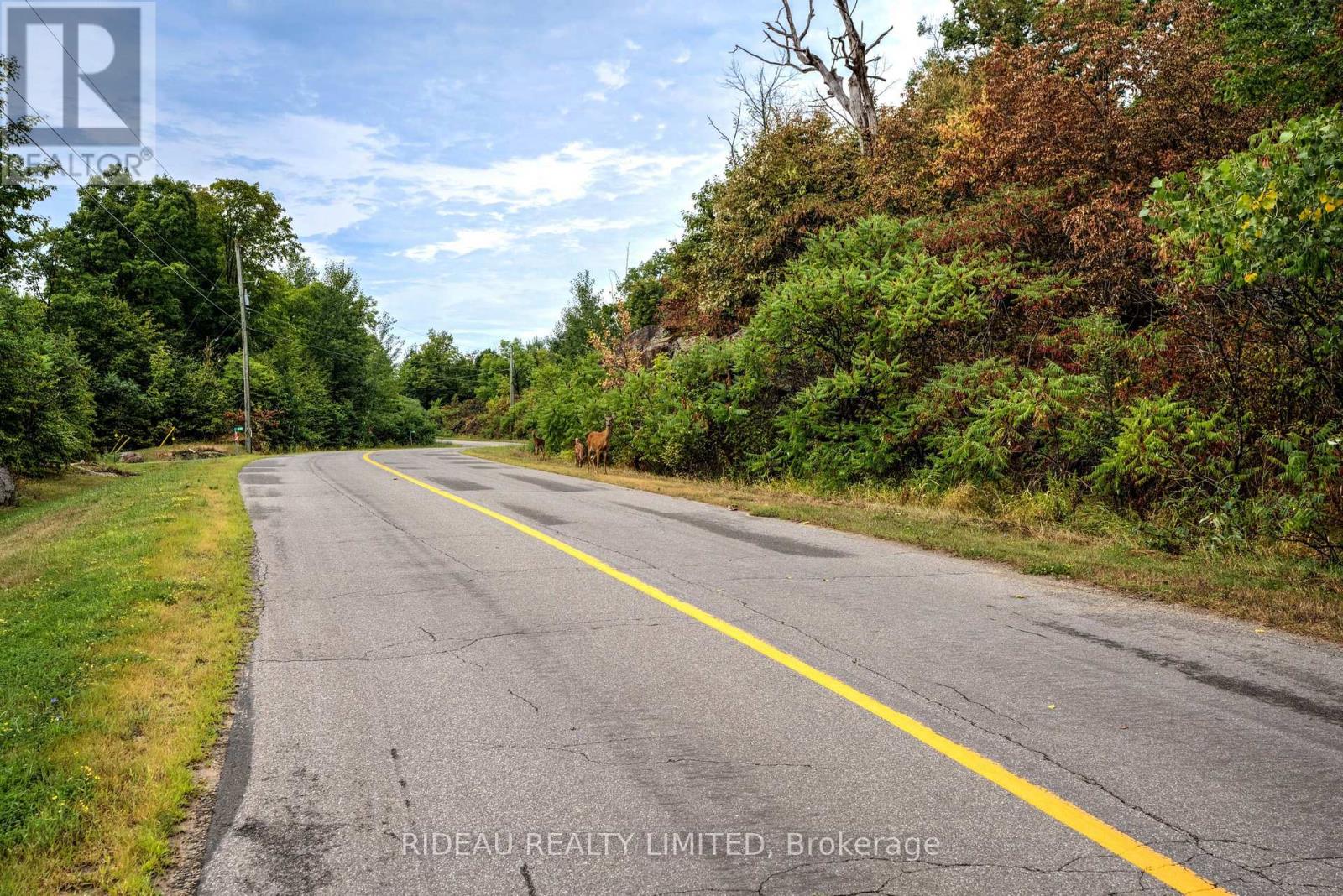 534 Oak Bluffs Road, Frontenac, Ontario  K0H 2B0 - Photo 16 - X12942806