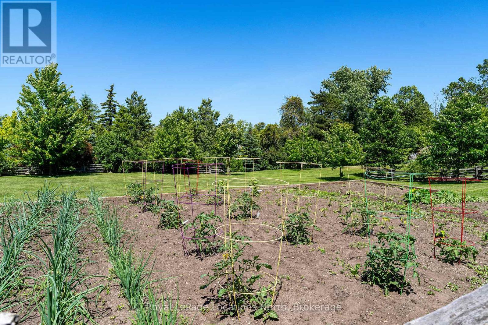 208703 Highway 26 Highway, Blue Mountains, Ontario  N0H 1J0 - Photo 39 - X12942734