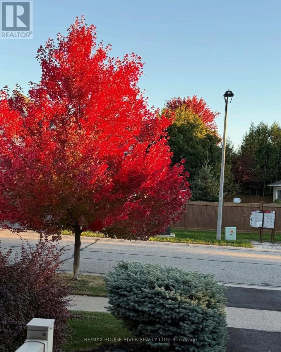 69 Wessex Drive, Whitby, Ontario  L1M 2C2 - Photo 47 - E12942766