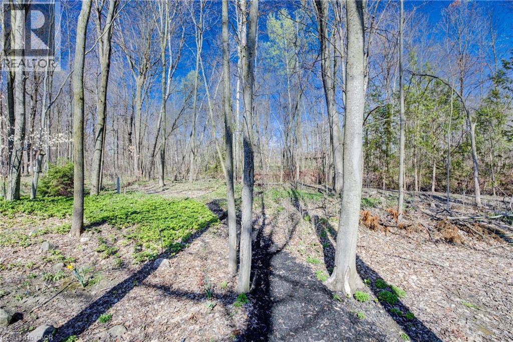 439 Northlake Drive, Waterloo, Ontario  N2V 1Y6 - Photo 41 - 40816239