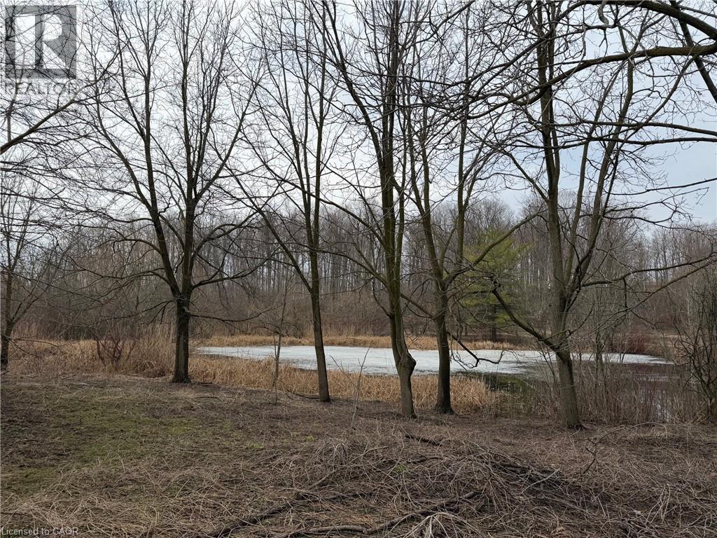 124 Autumn Hill Crescent, Kitchener, Ontario  N2N 1K7 - Photo 46 - 40816352