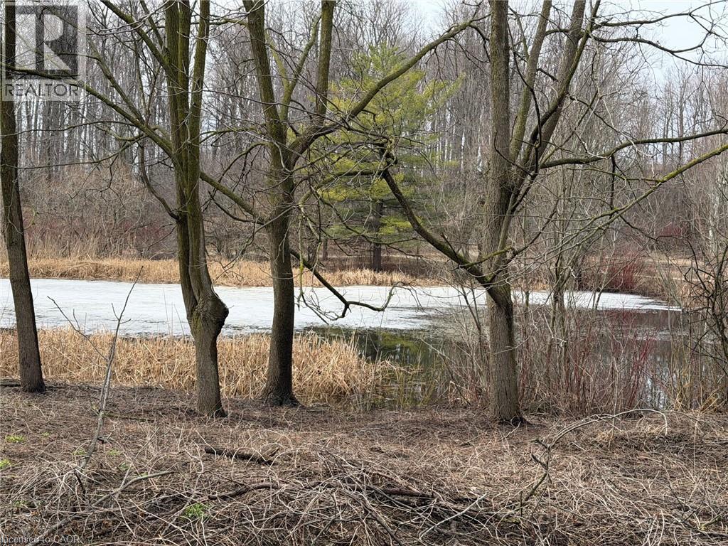 124 Autumn Hill Crescent, Kitchener, Ontario  N2N 1K7 - Photo 45 - 40816352