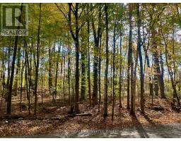 PT 38 CEDAR SANDS ROAD, Rideau Lakes, Ontario