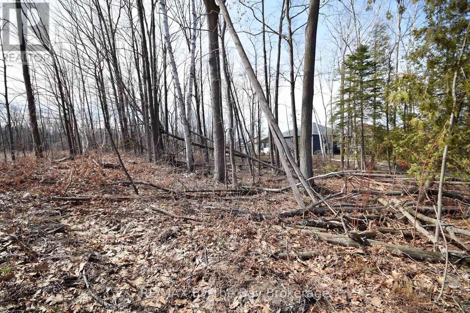 36 Joanne Crescent, Wasaga Beach, Ontario  L9Z 1R4 - Photo 9 - S12943024