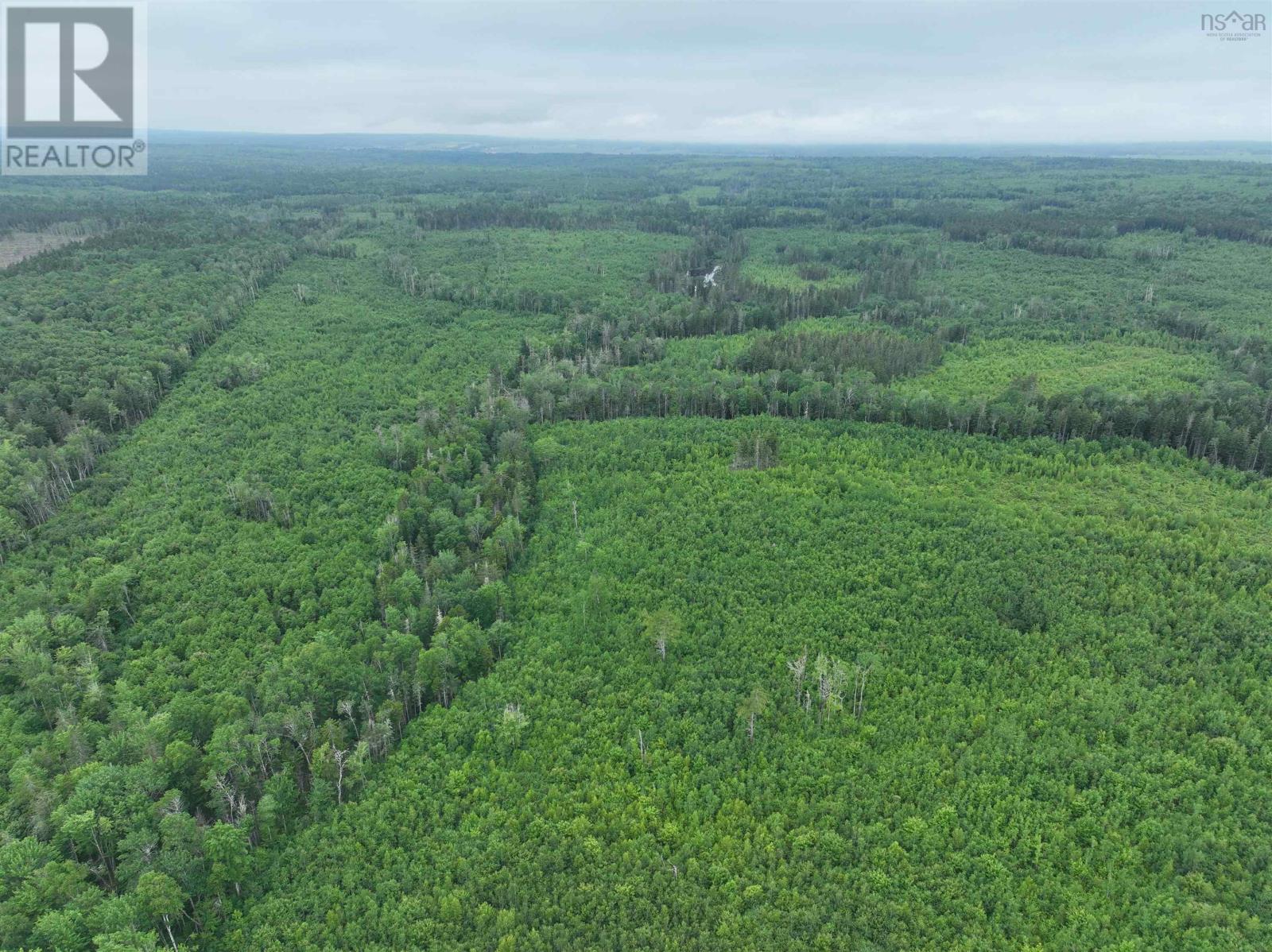 Lot Route 242, Maccan, Nova Scotia  B0L 1B0 - Photo 5 - 202605976