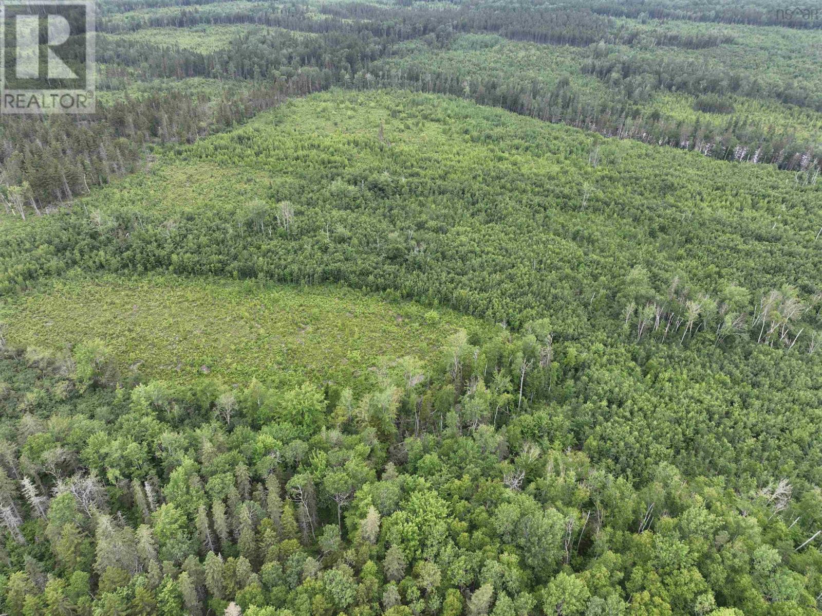 Lot Route 242, Maccan, Nova Scotia  B0L 1B0 - Photo 2 - 202605976