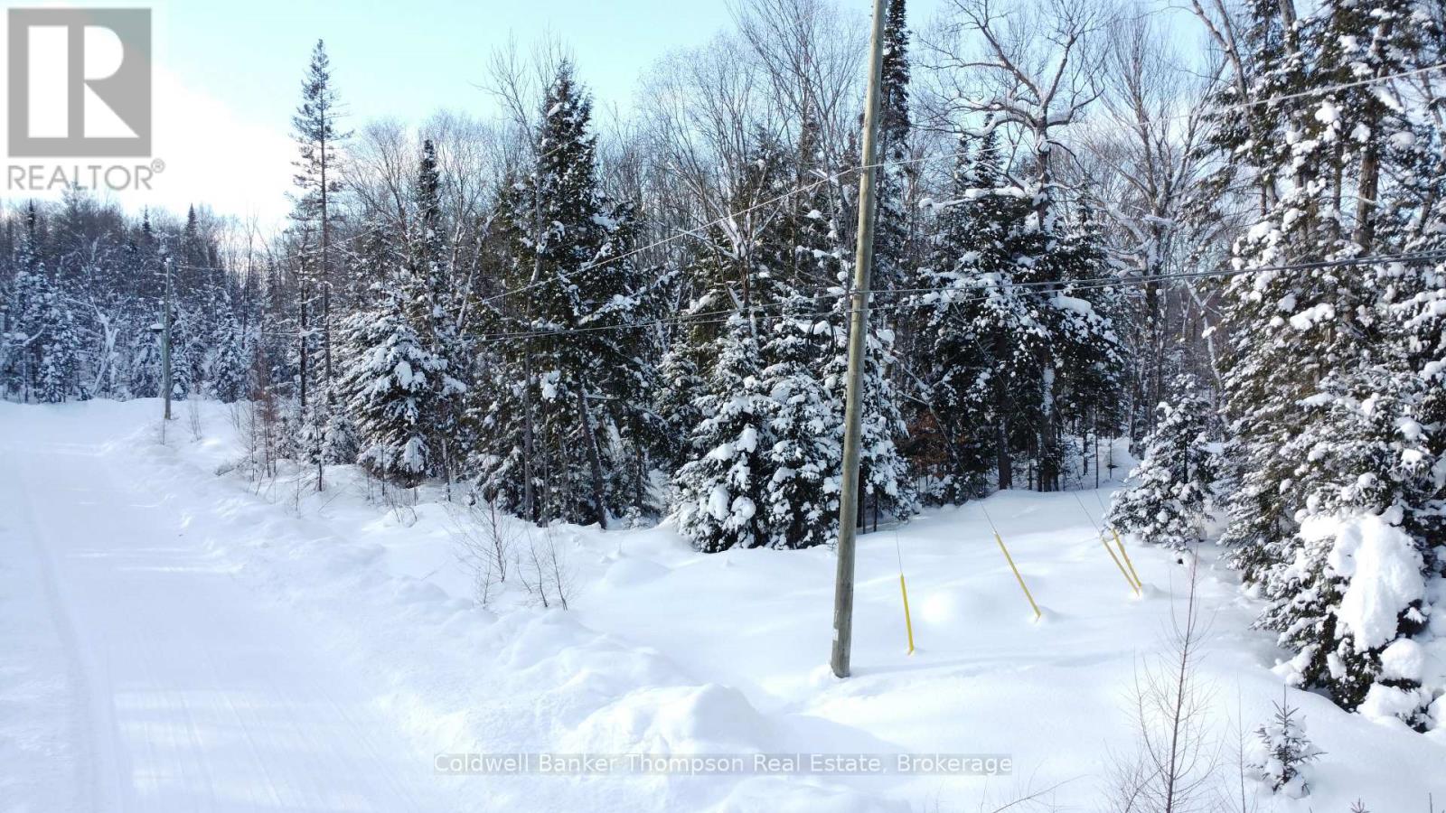 2 Foxwood Court, Huntsville, Ontario  P1H 2N5 - Photo 2 - X12755384