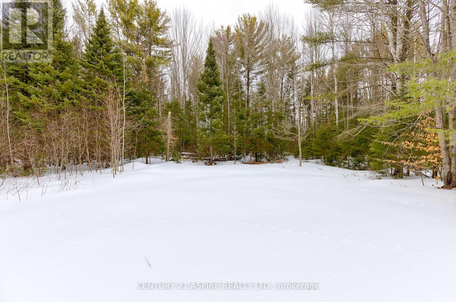 544 Achray Road, Petawawa, Ontario  K8A 6W7 - Photo 49 - X12942608
