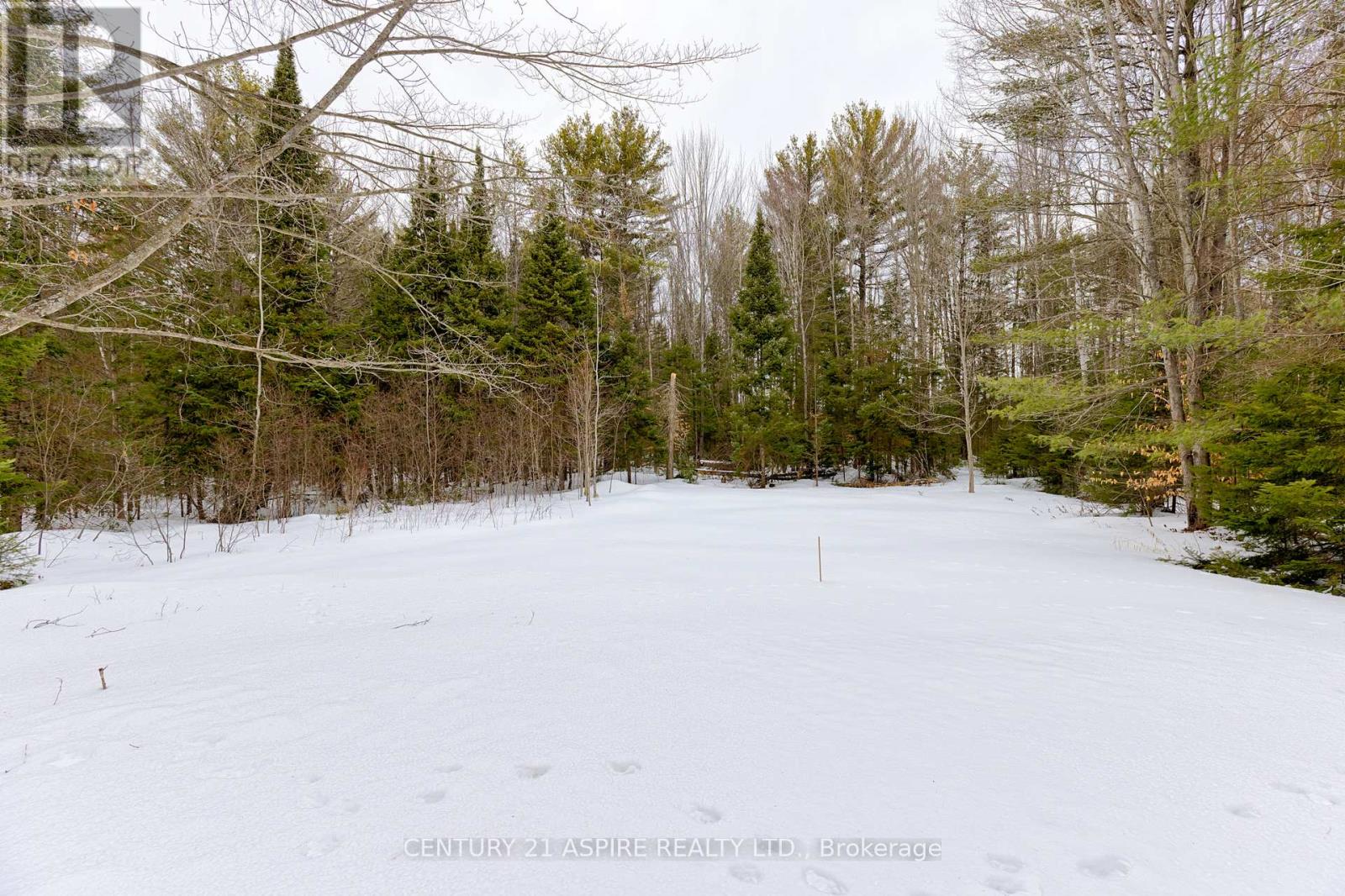 544 Achray Road, Petawawa, Ontario  K8A 6W7 - Photo 50 - X12942608
