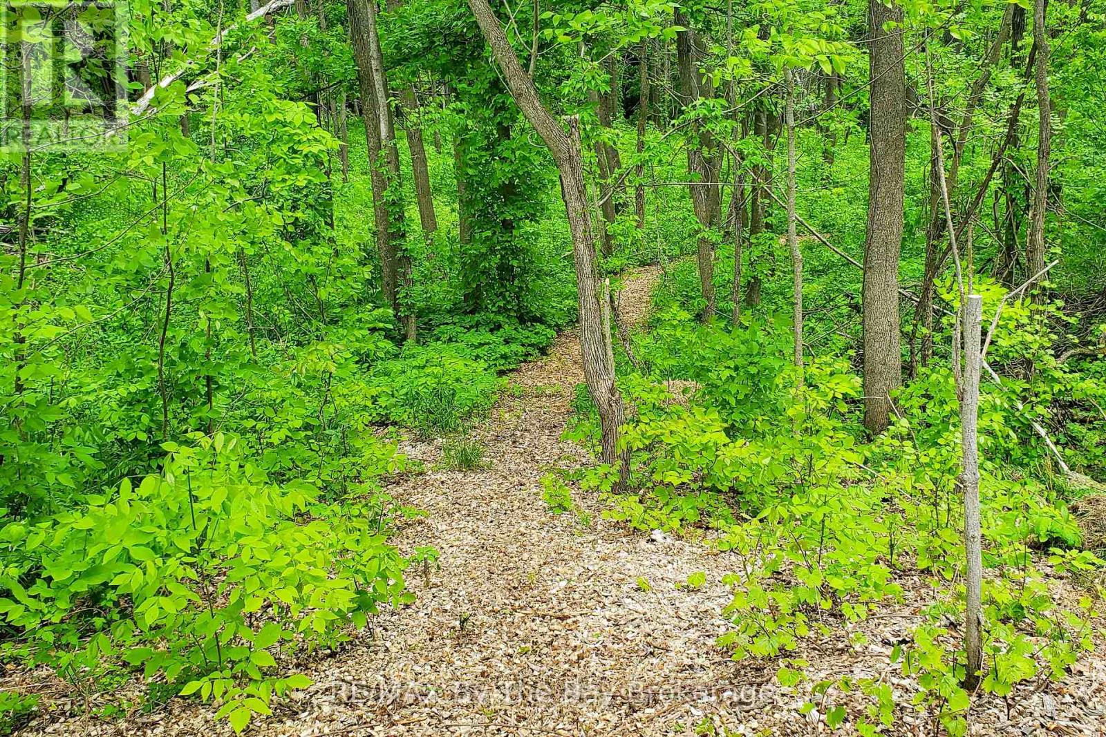 9 Purple Hill Lane, Clearview, Ontario  L0M 1G0 - Photo 48 - S12943104