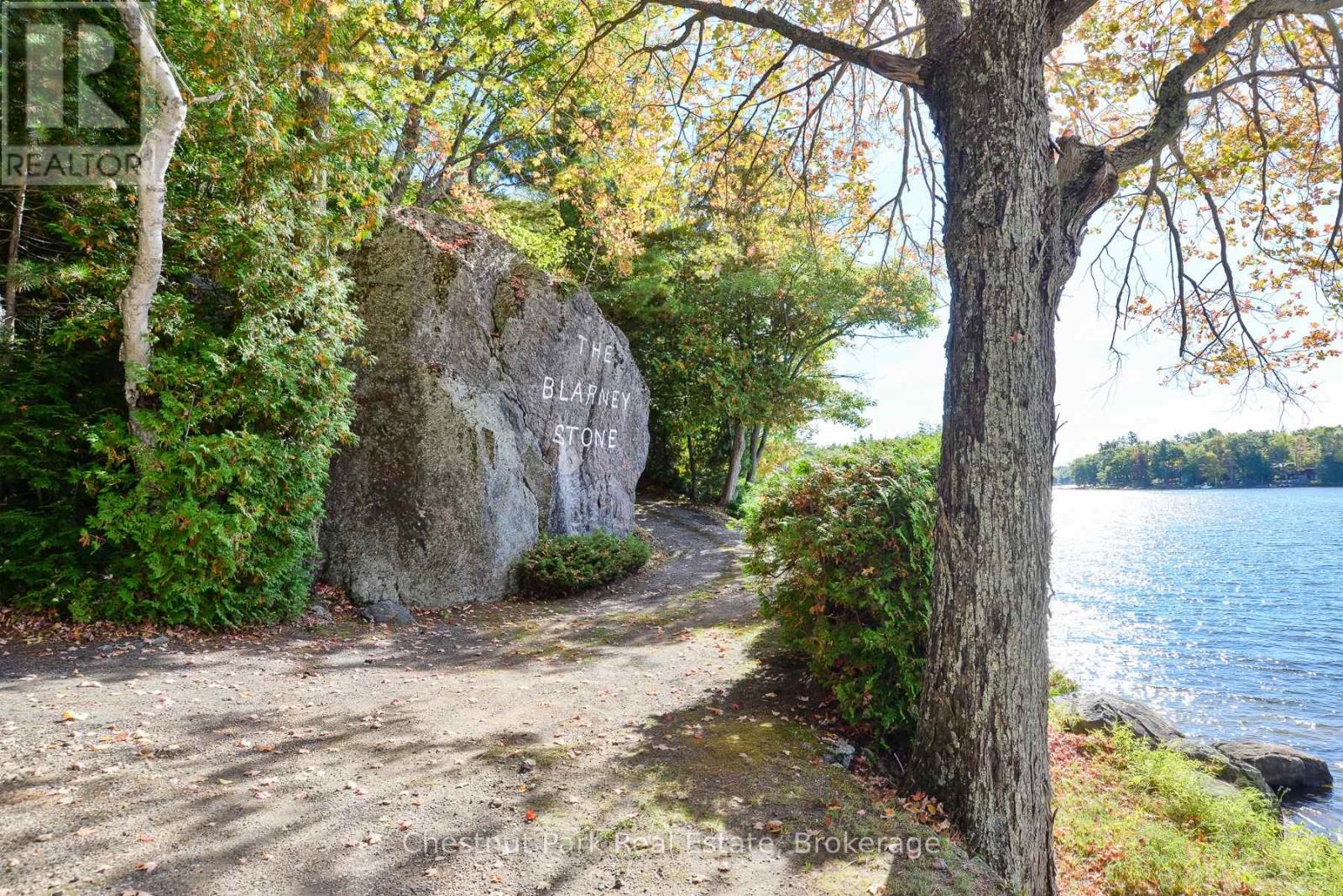 1119 Trafalgar Bay Road W, Muskoka Lakes, Ontario  P0C 1A0 - Photo 26 - X12943236