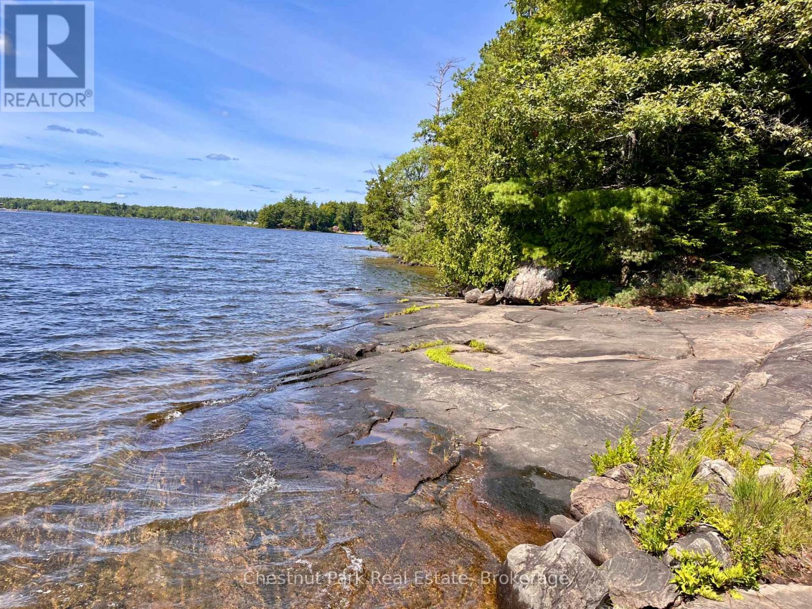 1119 Trafalgar Bay Road W, Muskoka Lakes, Ontario  P0C 1A0 - Photo 4 - X12943236