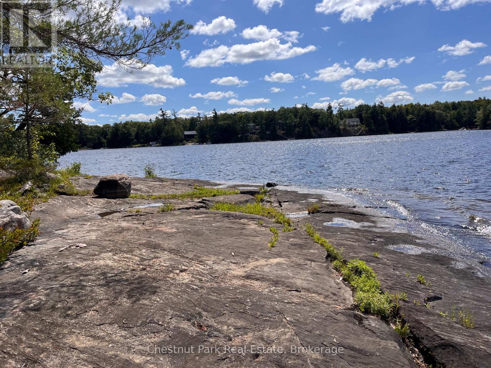 1119 Trafalgar Bay Road W, Muskoka Lakes, Ontario  P0C 1A0 - Photo 9 - X12943236