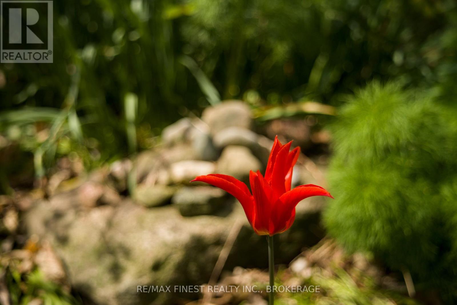 9910 Front Road, Loyalist, Ontario  K0H 2S0 - Photo 38 - X12943048