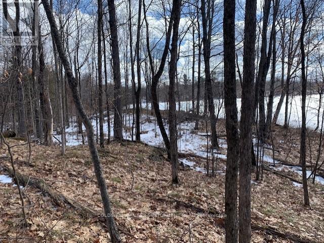 0 Red Pine Road, Tay Valley, Ontario K0H 2B0 - Photo 13 - X12942490