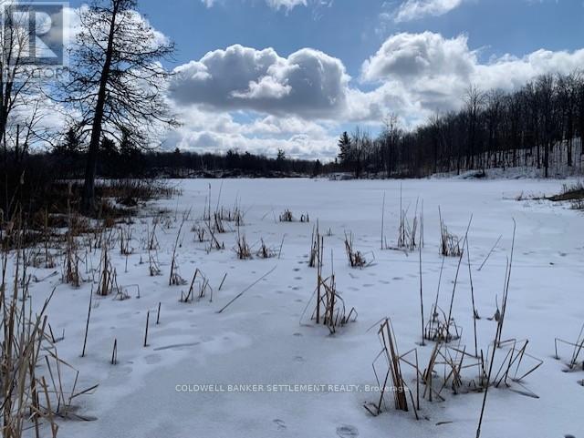 0 Red Pine Road, Tay Valley, Ontario K0H 2B0 - Photo 12 - X12942490