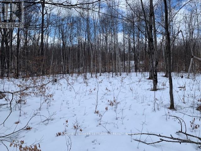 0 Red Pine Road, Tay Valley, Ontario K0H 2B0 - Photo 3 - X12942490
