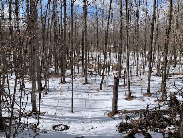 0 Red Pine Road, Tay Valley, Ontario K0H 2B0 - Photo 21 - X12942490