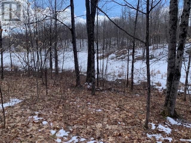 0 Red Pine Road, Tay Valley, Ontario K0H 2B0 - Photo 6 - X12942490