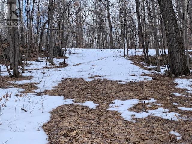 0 Red Pine Road, Tay Valley, Ontario K0H 2B0 - Photo 2 - X12942490