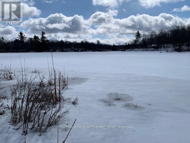 0 Red Pine Road, Tay Valley, Ontario K0H 2B0 - Photo 16 - X12942490