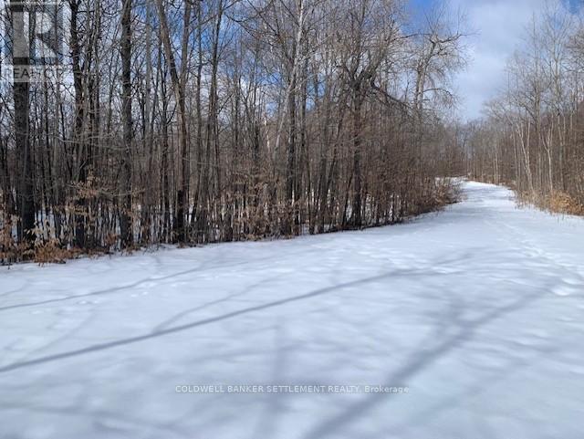 0 Red Pine Road, Tay Valley, Ontario K0H 2B0 - Photo 22 - X12942490